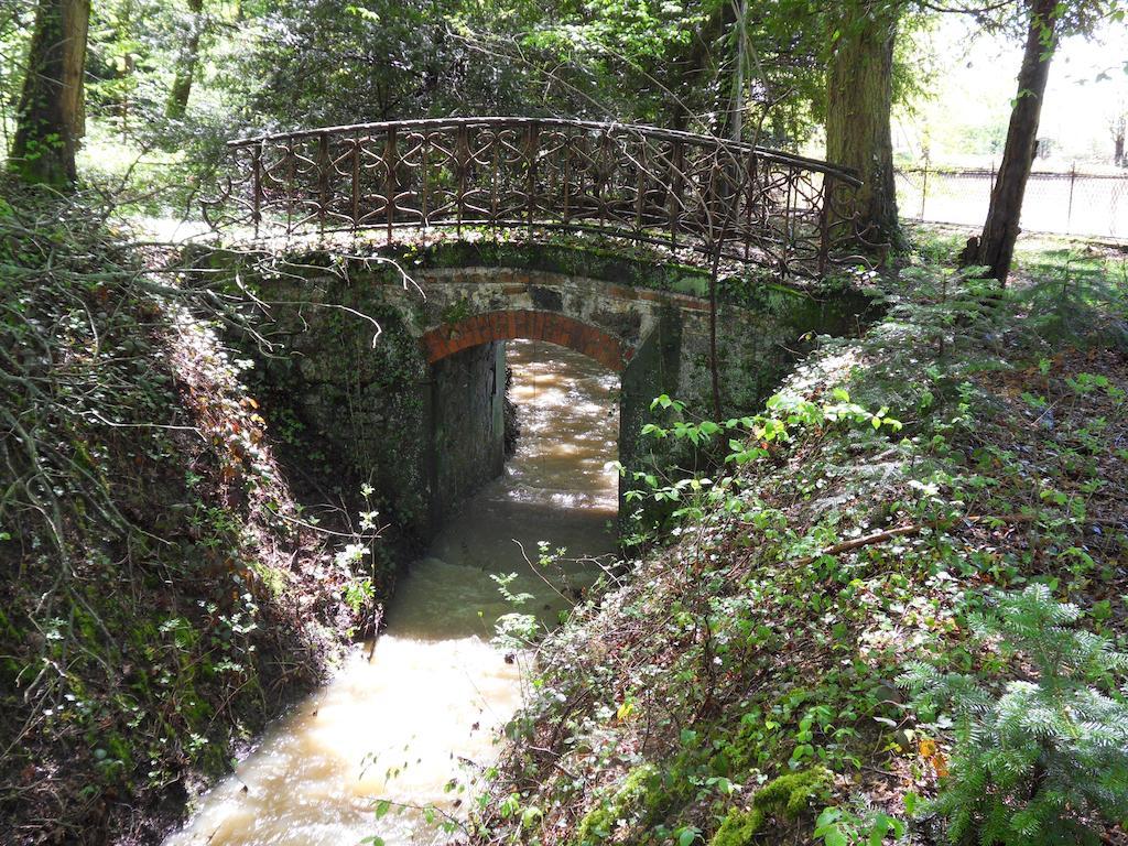 Chateau De La Motte Noailly Bagian luar foto