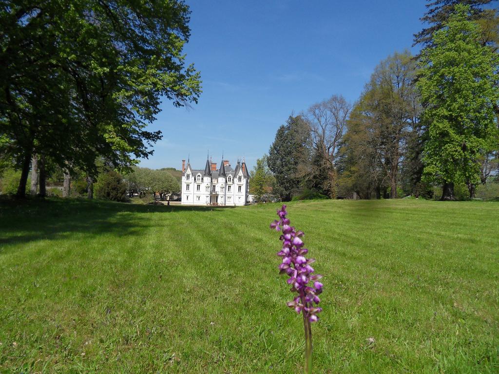 Chateau De La Motte Noailly Bagian luar foto